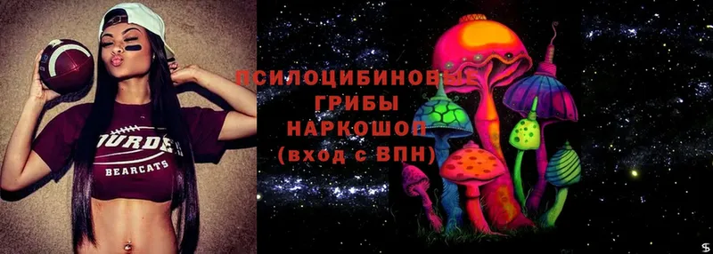 Галлюциногенные грибы Psilocybine cubensis  Новочебоксарск 